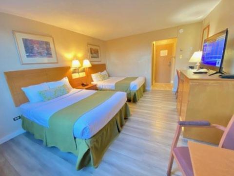 Efficiency Suite with Two Double Beds - Non-Smoking,1030857274:JPEG