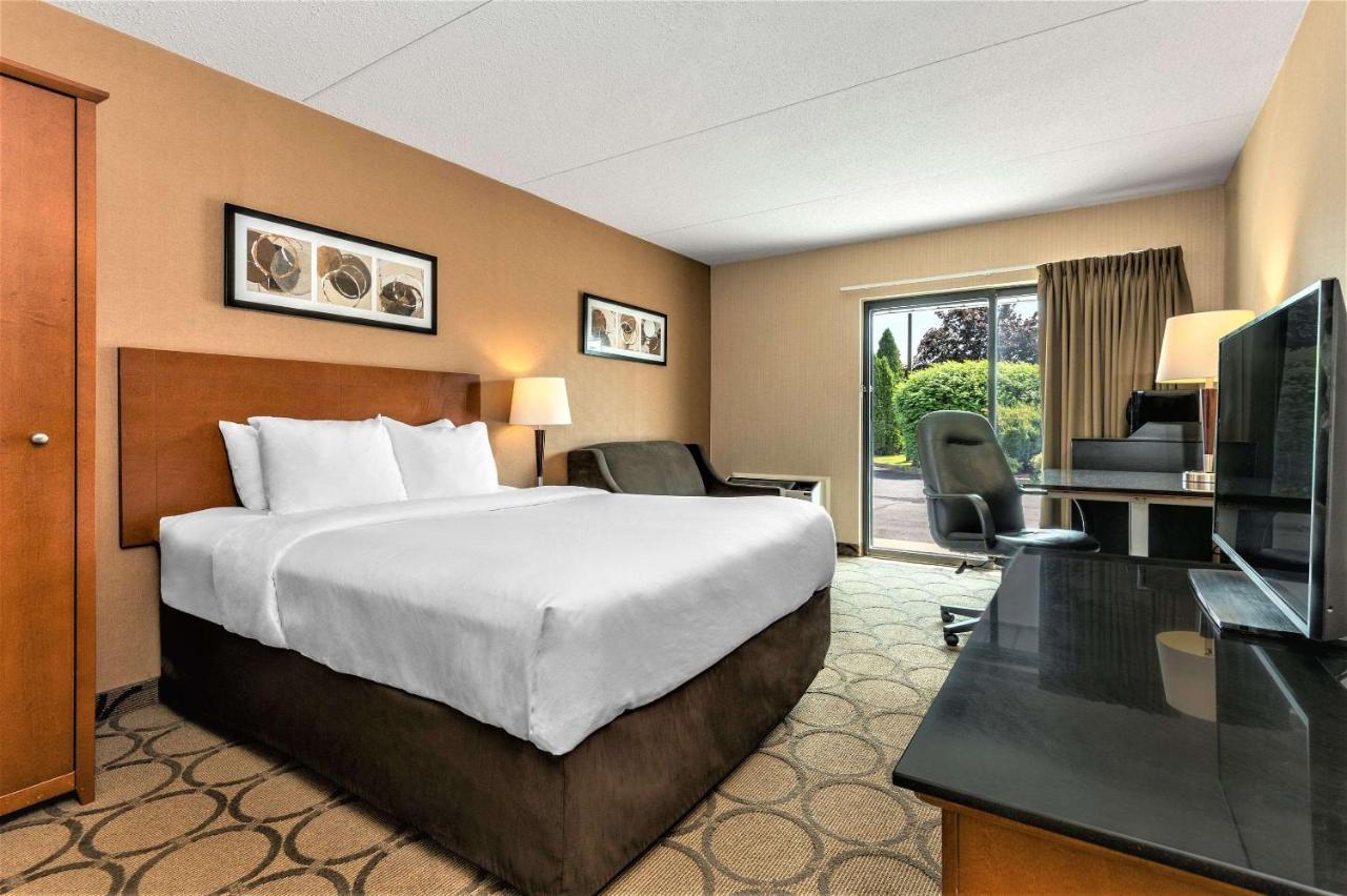 Standard Queen Room - Ground Floor,1589278836:JPEG