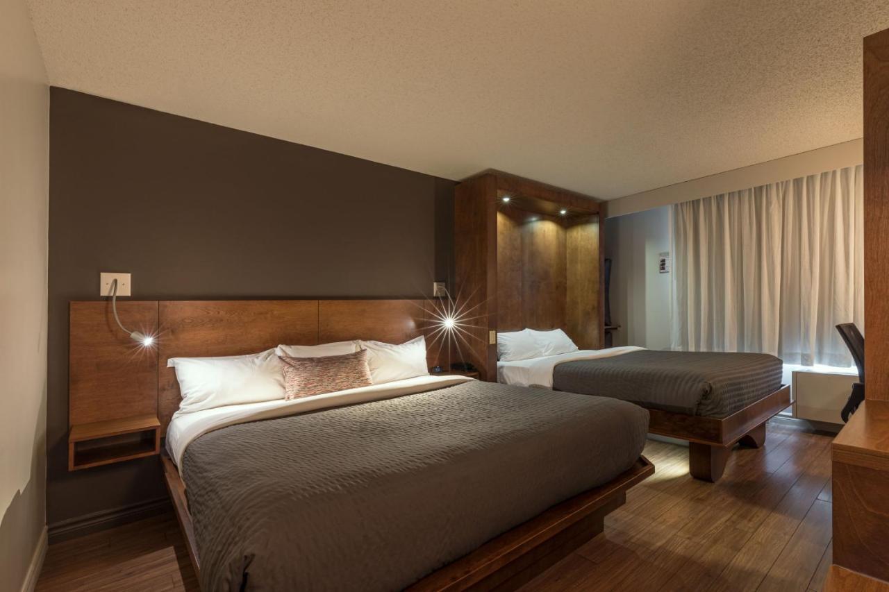 Superior King Room - Double occupancy,1100203890:JPEG