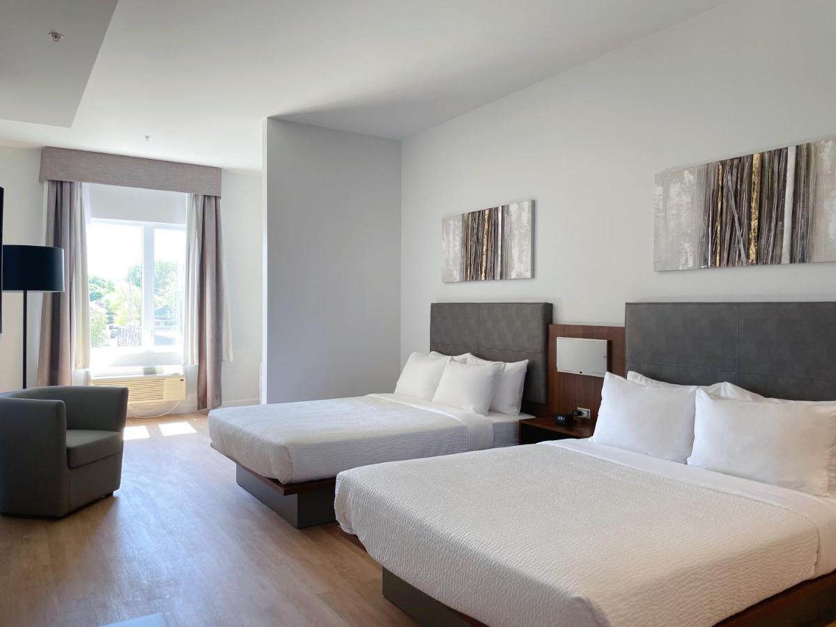 Queen Suite with Sofa Bed  - No Pets/Non Smoking,1632222251:JPEG
