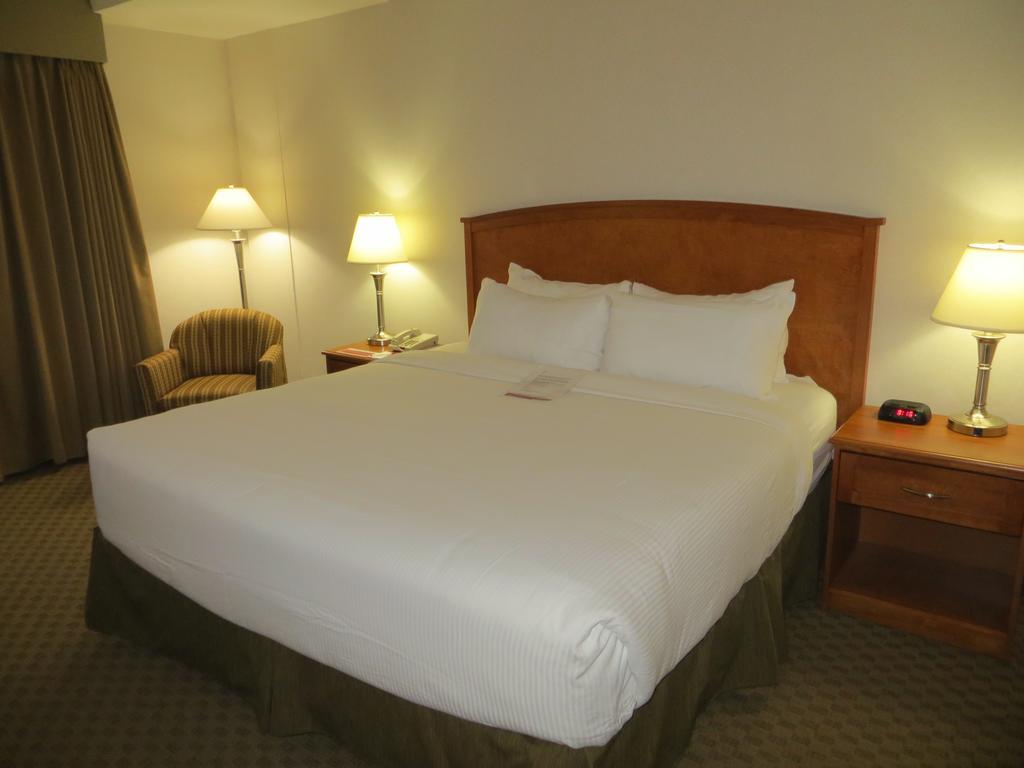 Business King Room,115142591:JPEG