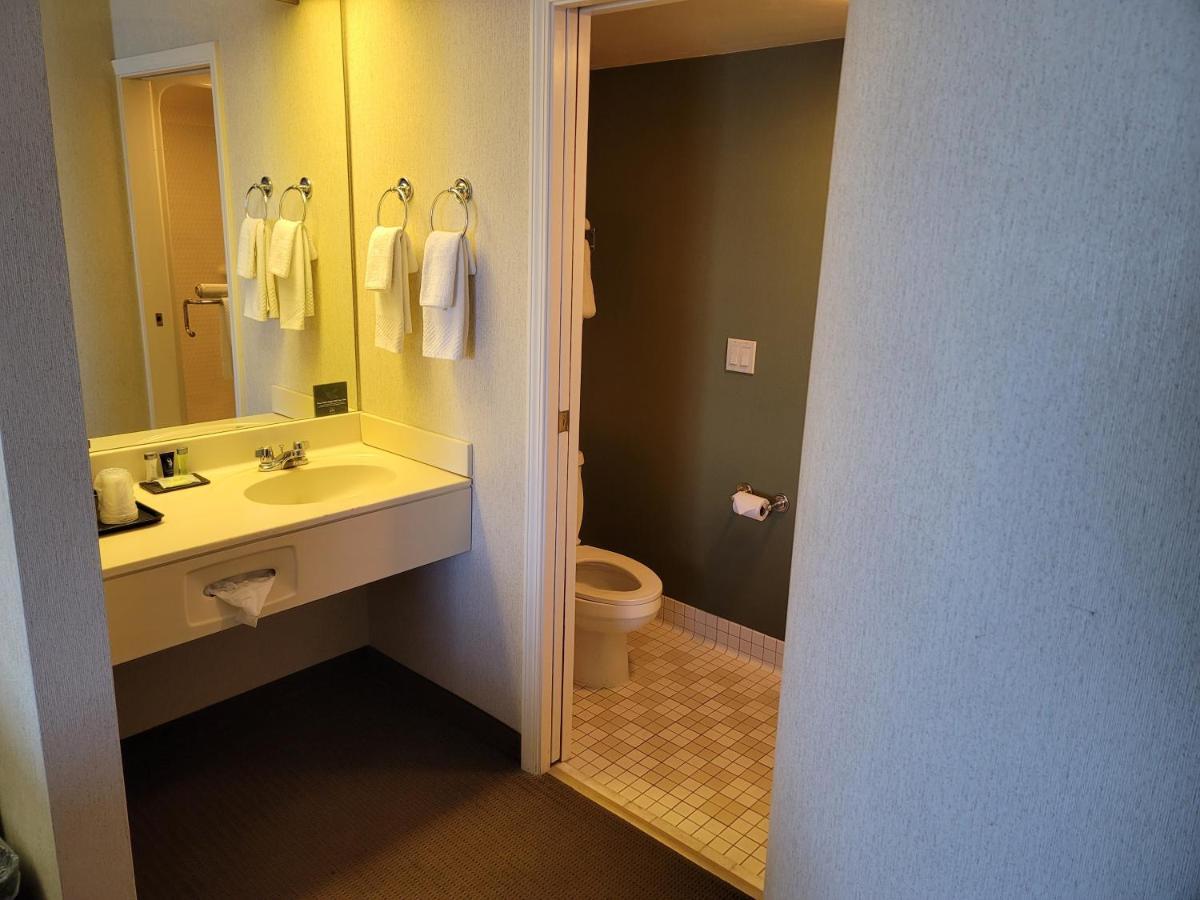 King Suite with Sofa Bed - Non Smoking,1276987417:JPEG