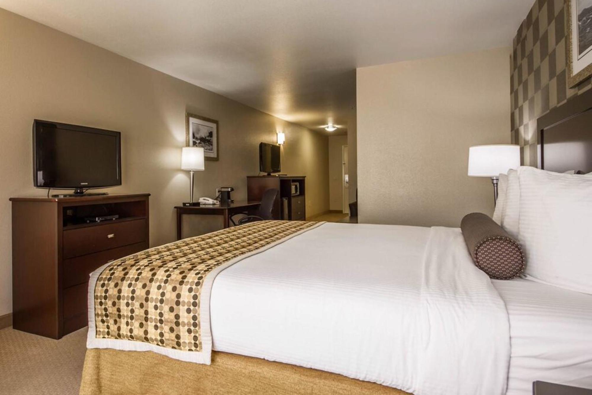 Mini Suite - Disability Access
