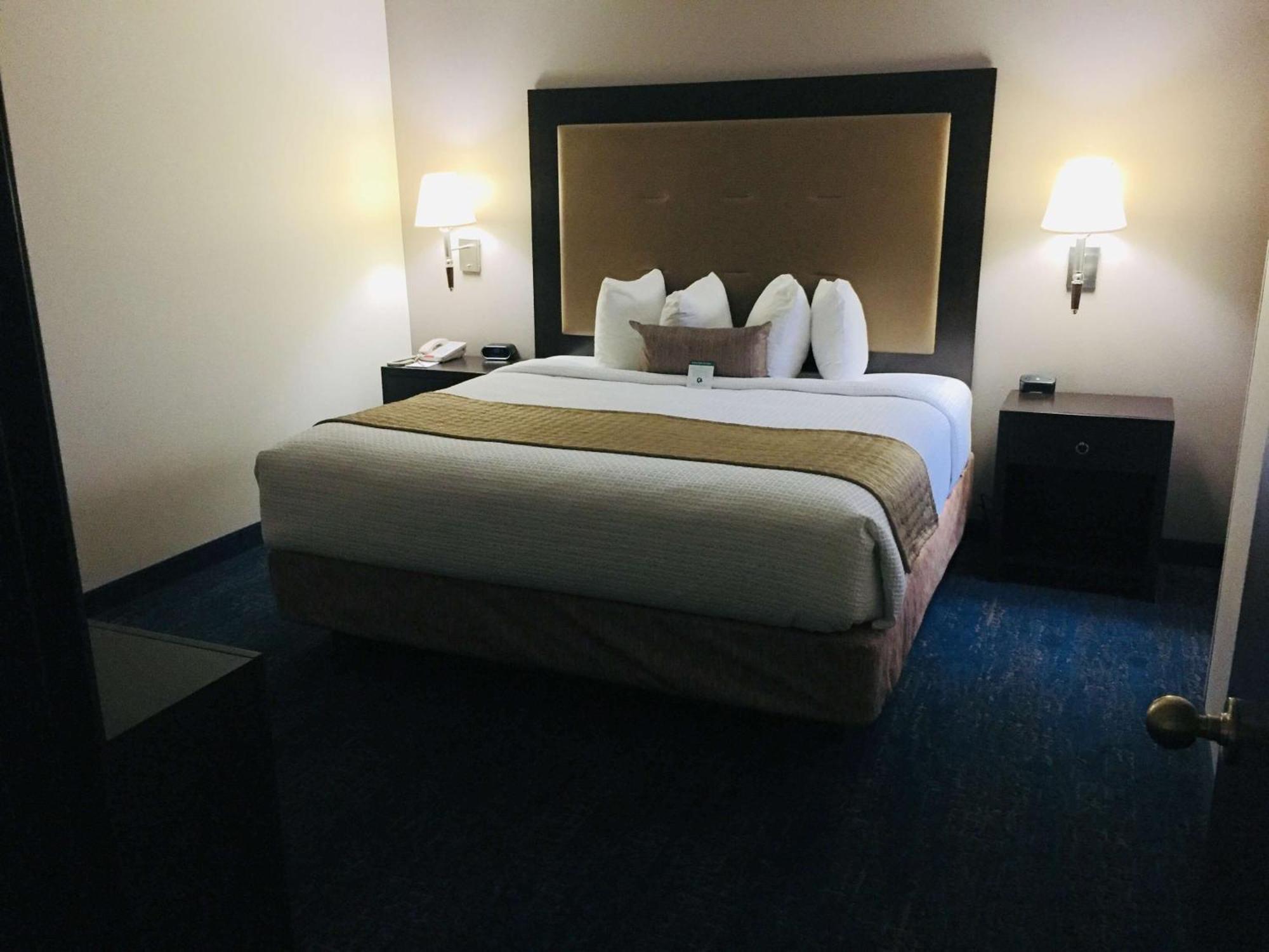 One-Bedroom King Suite,1280532346:JPEG