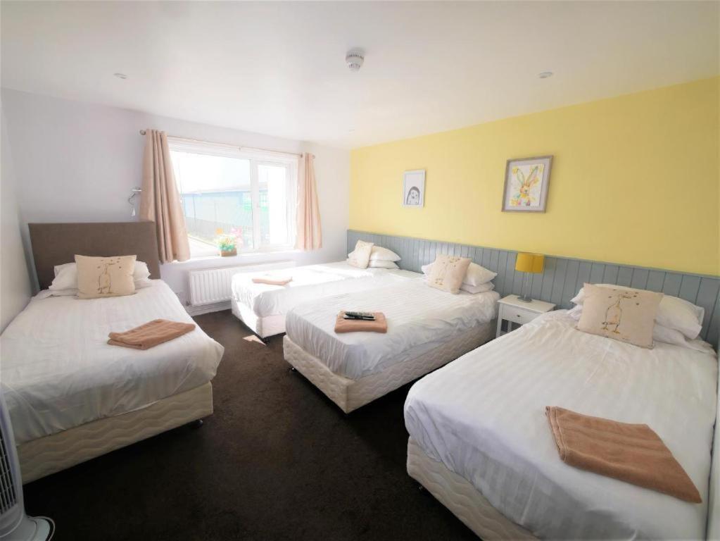 Quadruple Room with En-Suite and Sea View,1628648700:JPEG