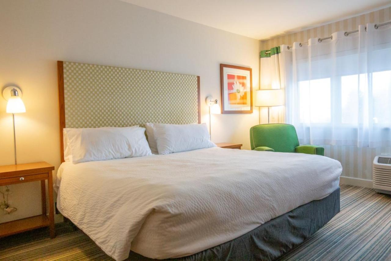 Standard King Room,1142922037:JPEG