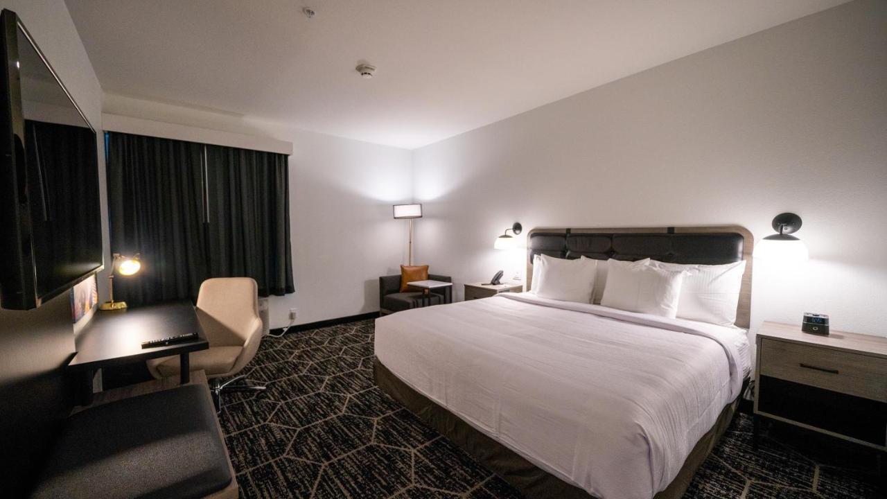 King Room - Non-Smoking