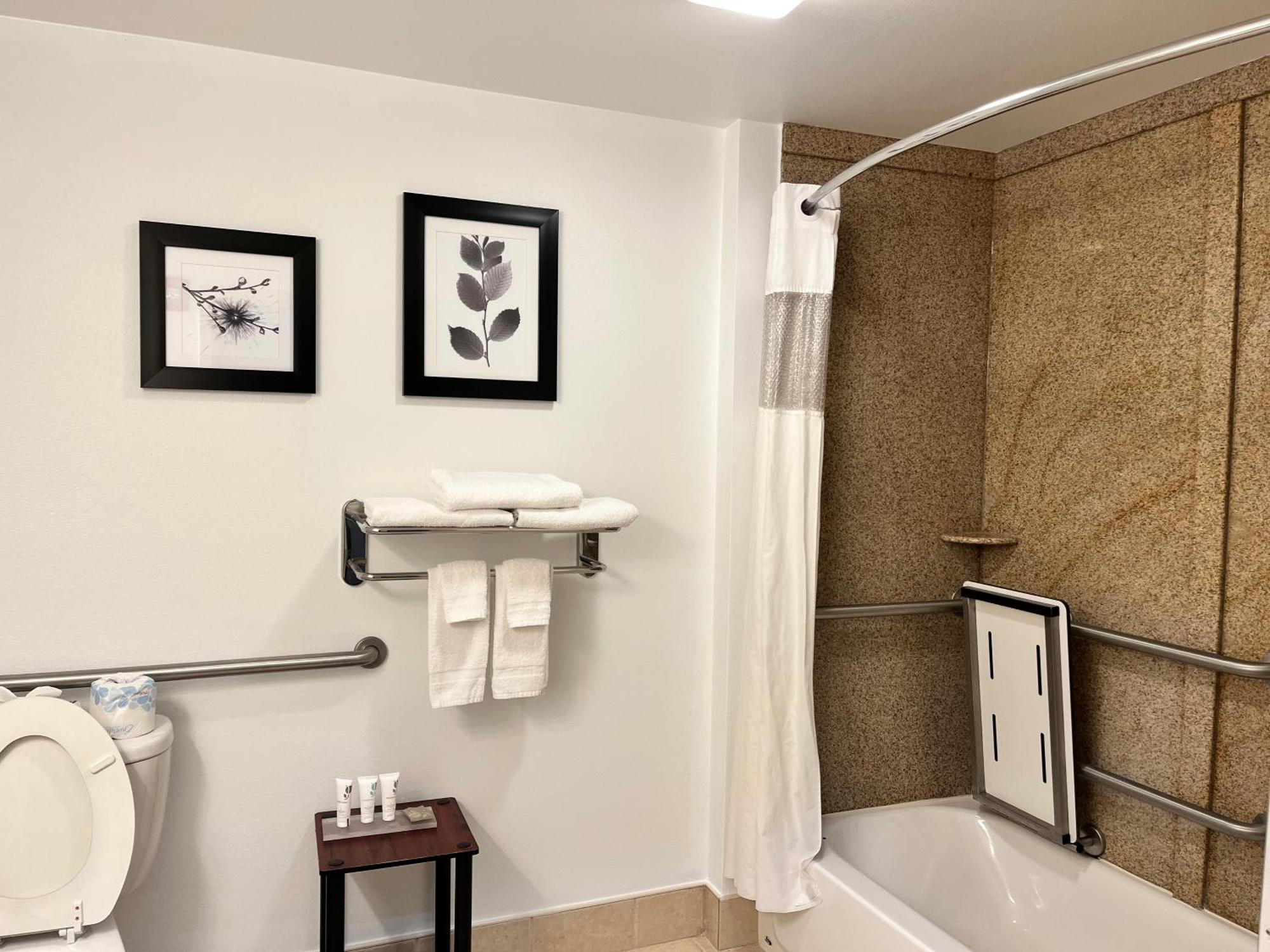 King Studio Suite - Disability Access