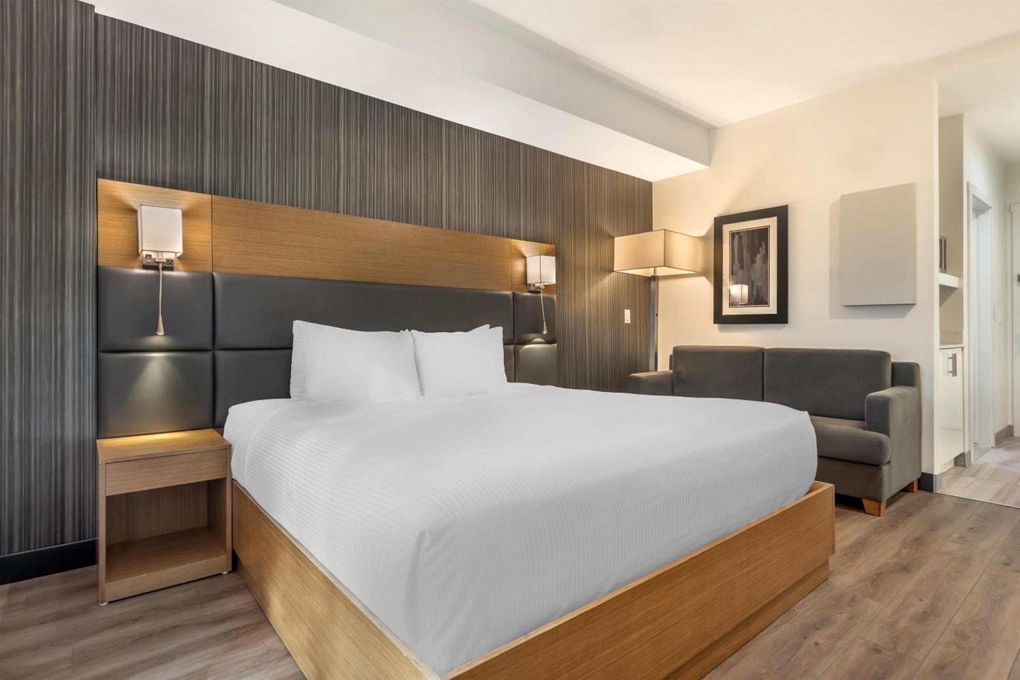 King Room - Pet-Friendly