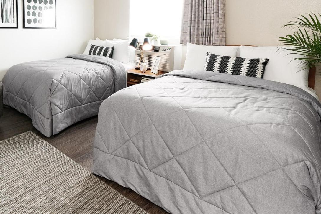 Premium Fully Renovated- 2 Full Bed Studio w/ Kitchen