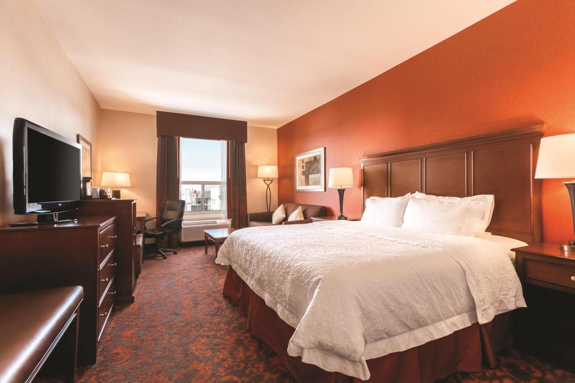 King Studio Suite with Sofa Bed - Non-Smoking,1758321441:JPEG