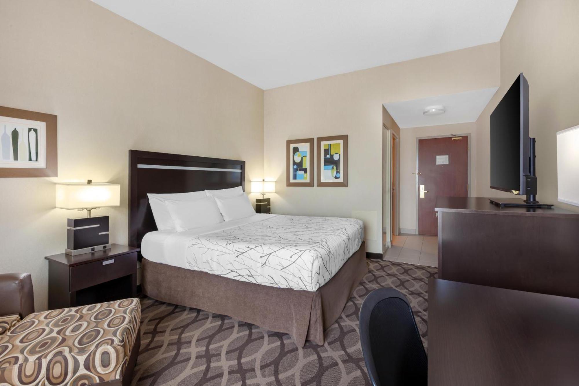King Room - Non-Smoking
