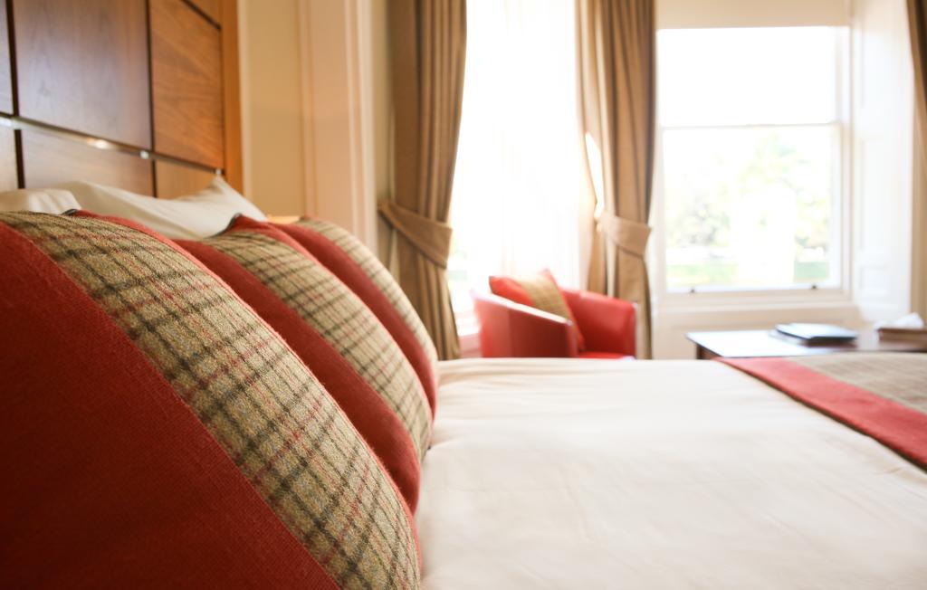 Deluxe King Room,325547839:JPEG
