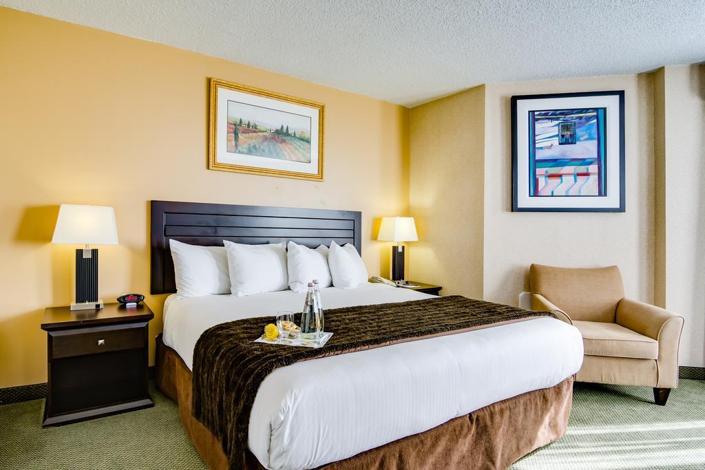 One-Bedroom Suite,706096573:JPEG