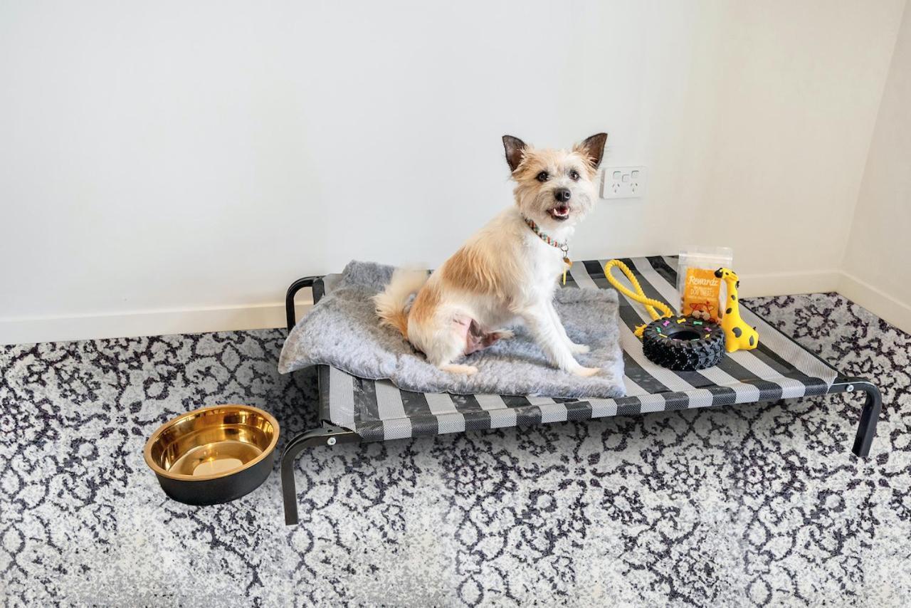 Studio - Pet Friendly with free secure parking