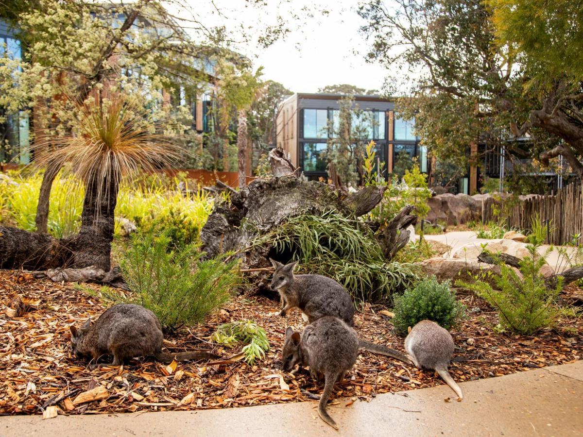Animal View Room with Breakfast & Zoo Admission