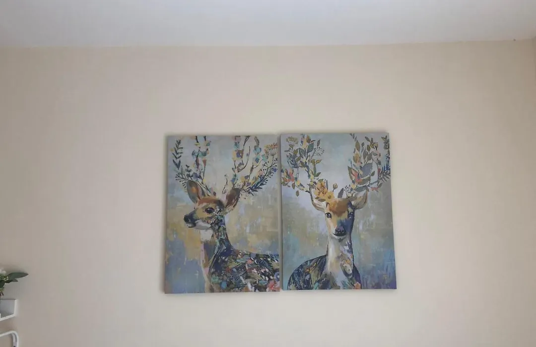 Smeaton Serviced Accommodation-1