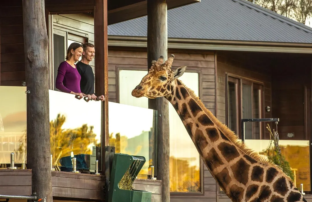 Jamala Wildlife Lodge-1
