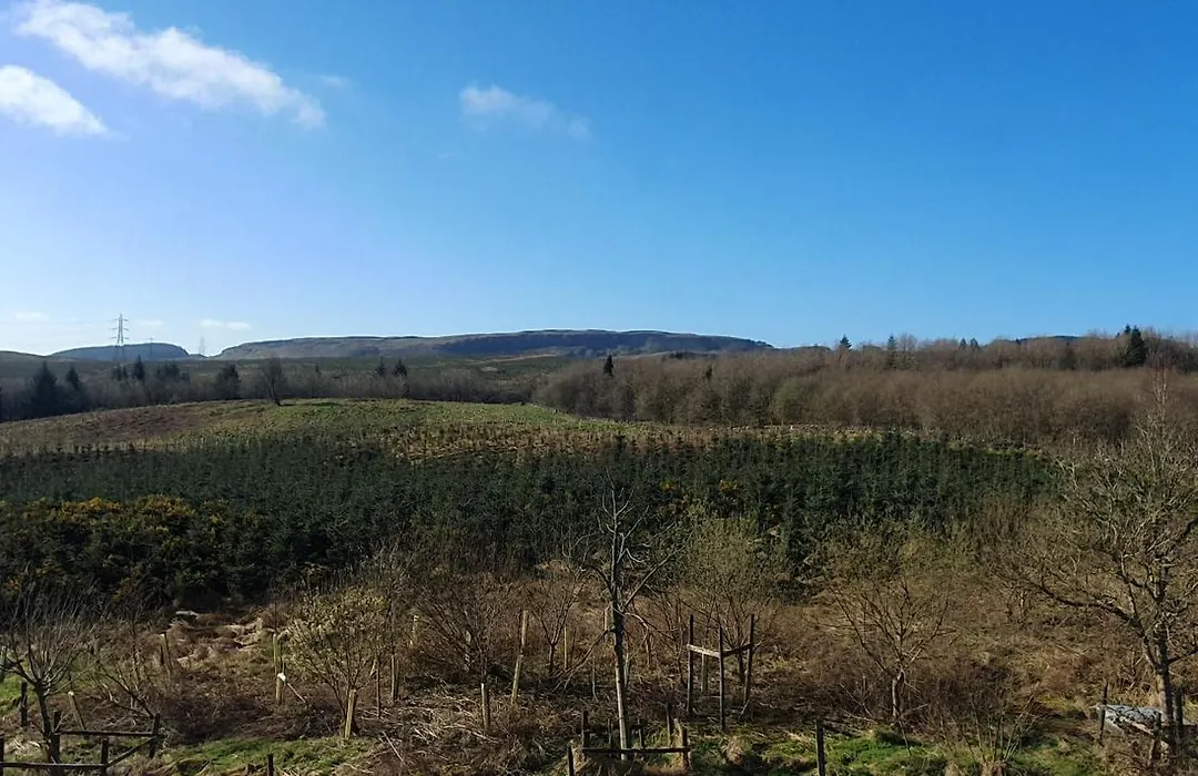 Edenmill Farm-1