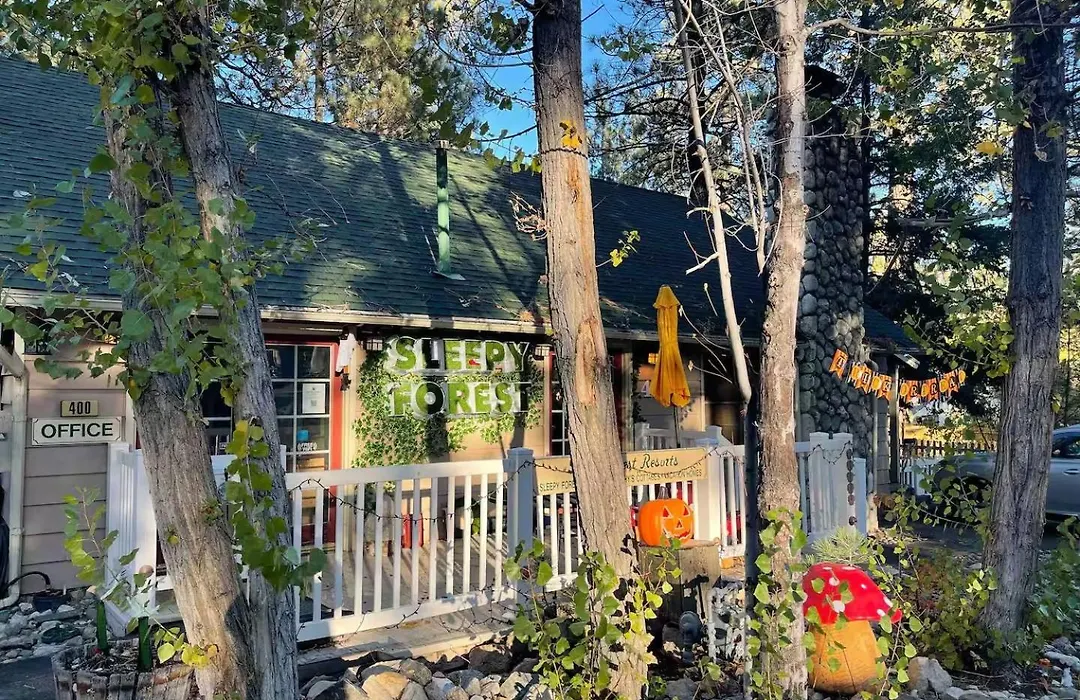 Sleepy Forest Cottages-1