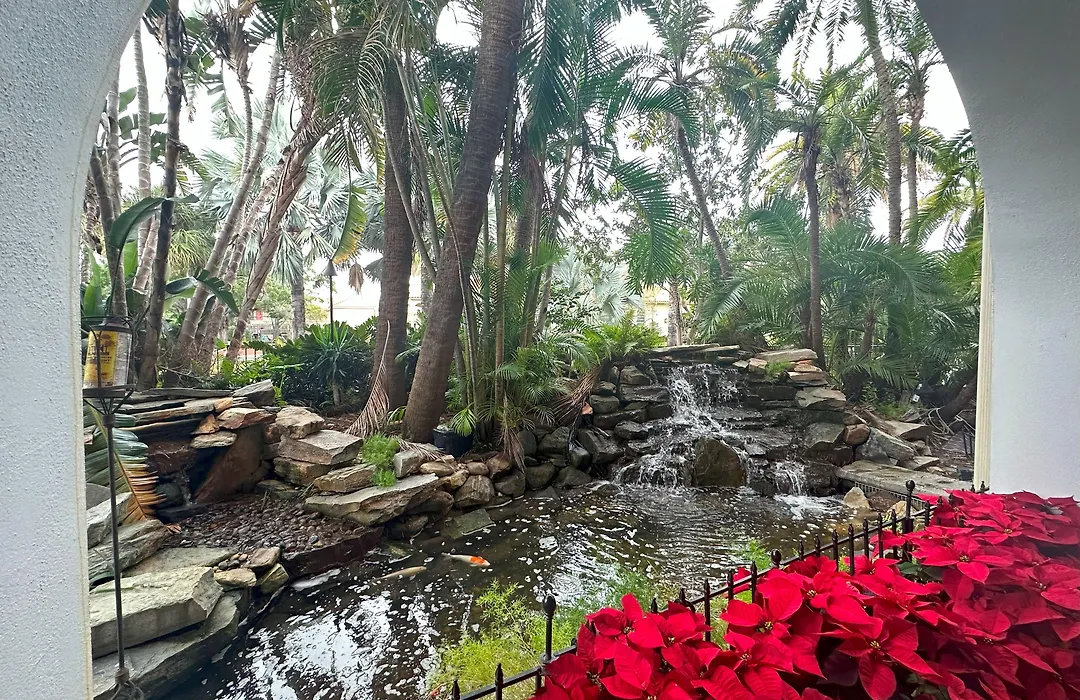 Tahitian Inn Boutique Hotel Tampa-1