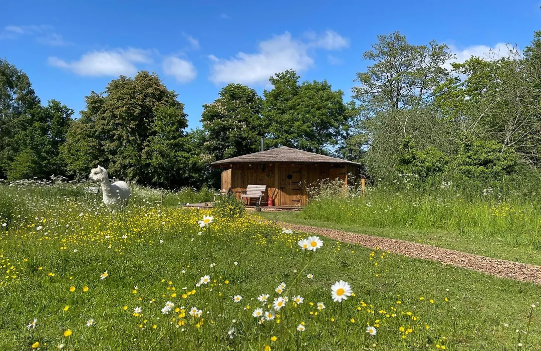 Acorn Glade Glamping York-1