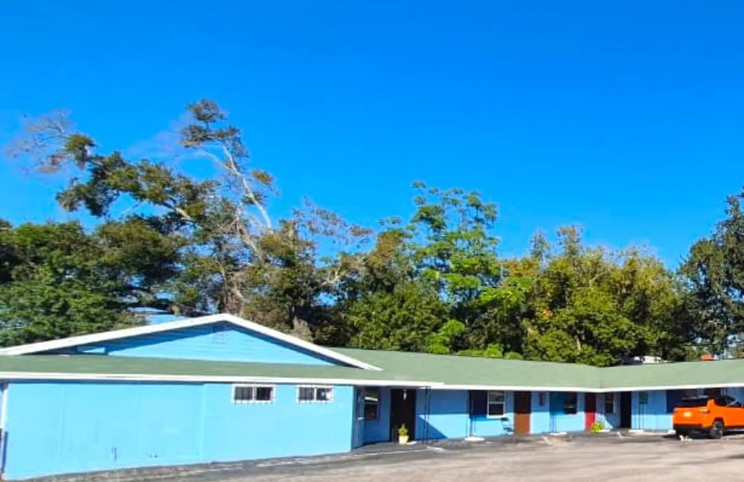 Antigua Motel By Oyo Tampa Us - 41-1