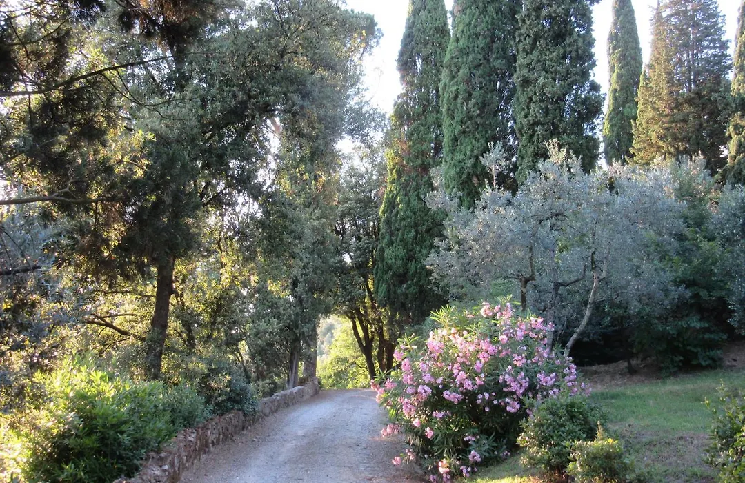 Villa Le Fontanelle-1