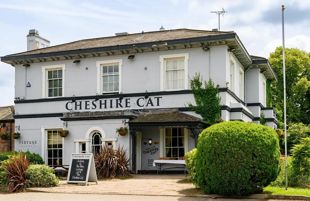 The Cheshire Cat By Innkeeper'S Collection-1
