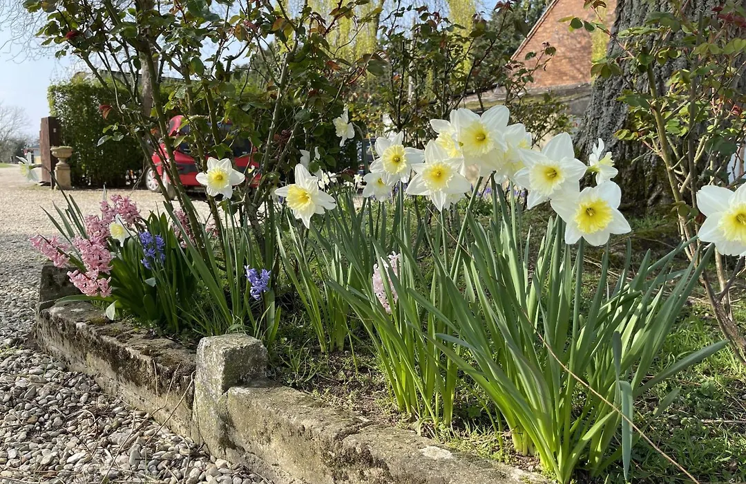 Hill Farm-1