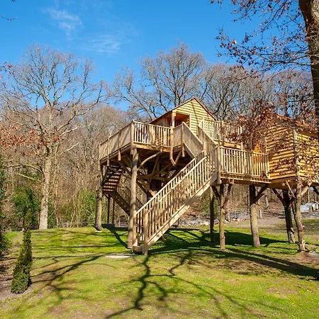 Oakside Tree Tops-3