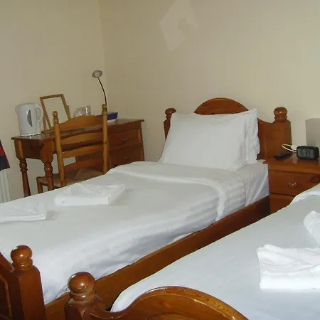 Twin Lions Hotel-3