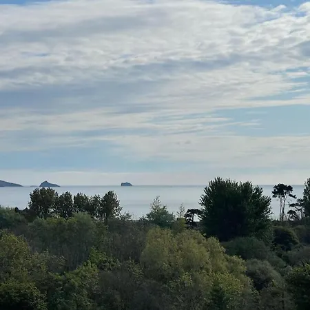 Luxury Lodge - Hoburne Devon Bay-2