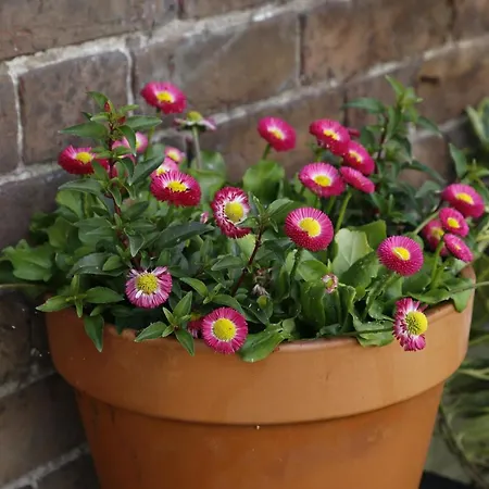 Cornubia Guest House-2