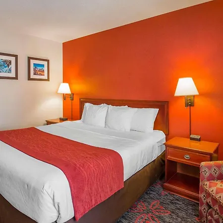 Comfort Inn & Suites University-2