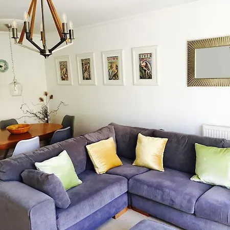 Spacious Stylish House,R/Way Museum,Parking,Garden-2