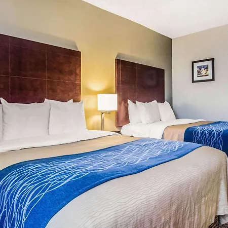 Comfort Inn Atlanta Downtown South-2