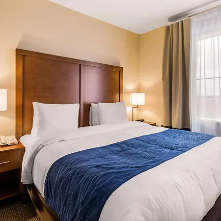 Comfort Suites Humble Bush Intercontinental Airport-3