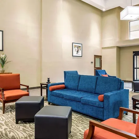 Comfort Suites Humble Bush Intercontinental Airport-2