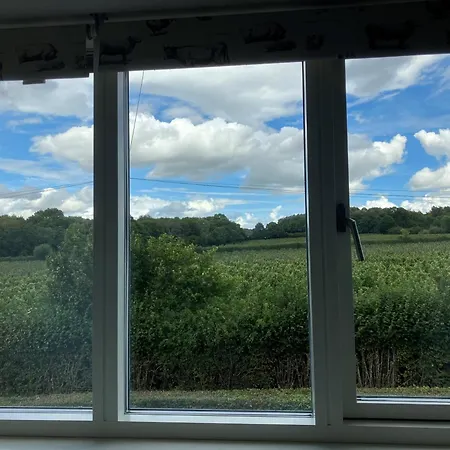 Withy Farm-3