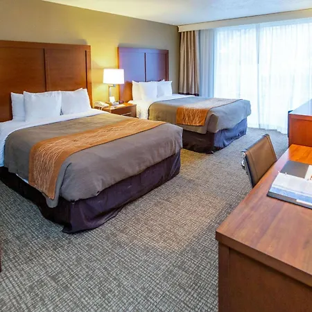 Comfort Inn Salt Lake City Downtown-3