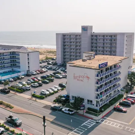 Flamingo Motel-3