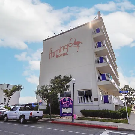 Flamingo Motel-2