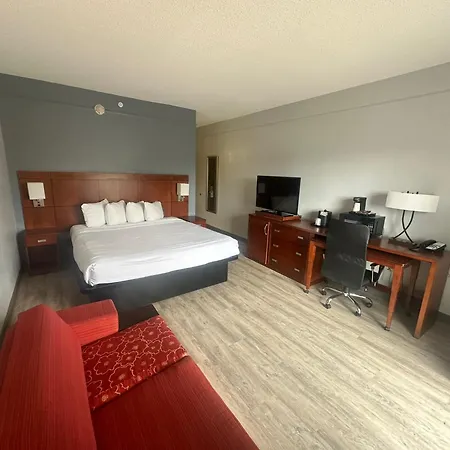 Super 8 By Wyndham Dallas Love Field Airport-3