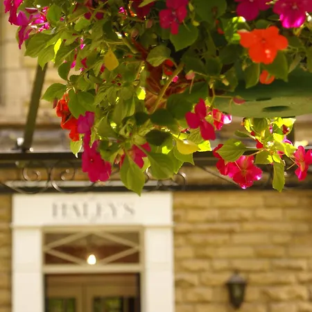 Haley'S Hotel-2