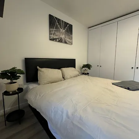 Spacious 3 Bedroom Home, With Private Driveway 5 Minutes From Excel Centre & Custom House-3