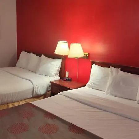 Metro Inn-2