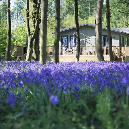 Hollicarrs - Woodland Lodge-3