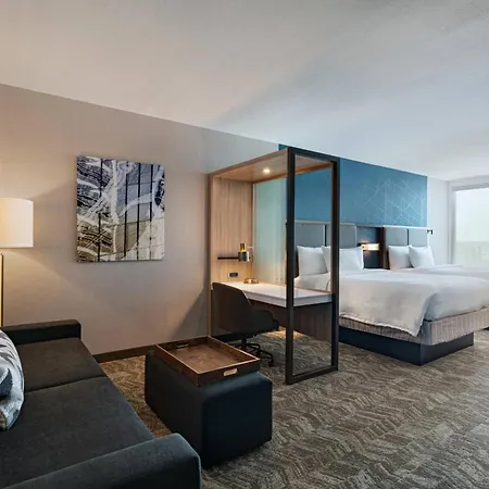 Springhill Suites By Marriott Dallas Richardson/University Area-3