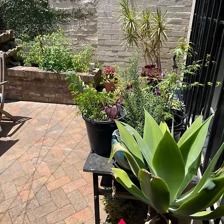 Updated Newtown Terrace-3